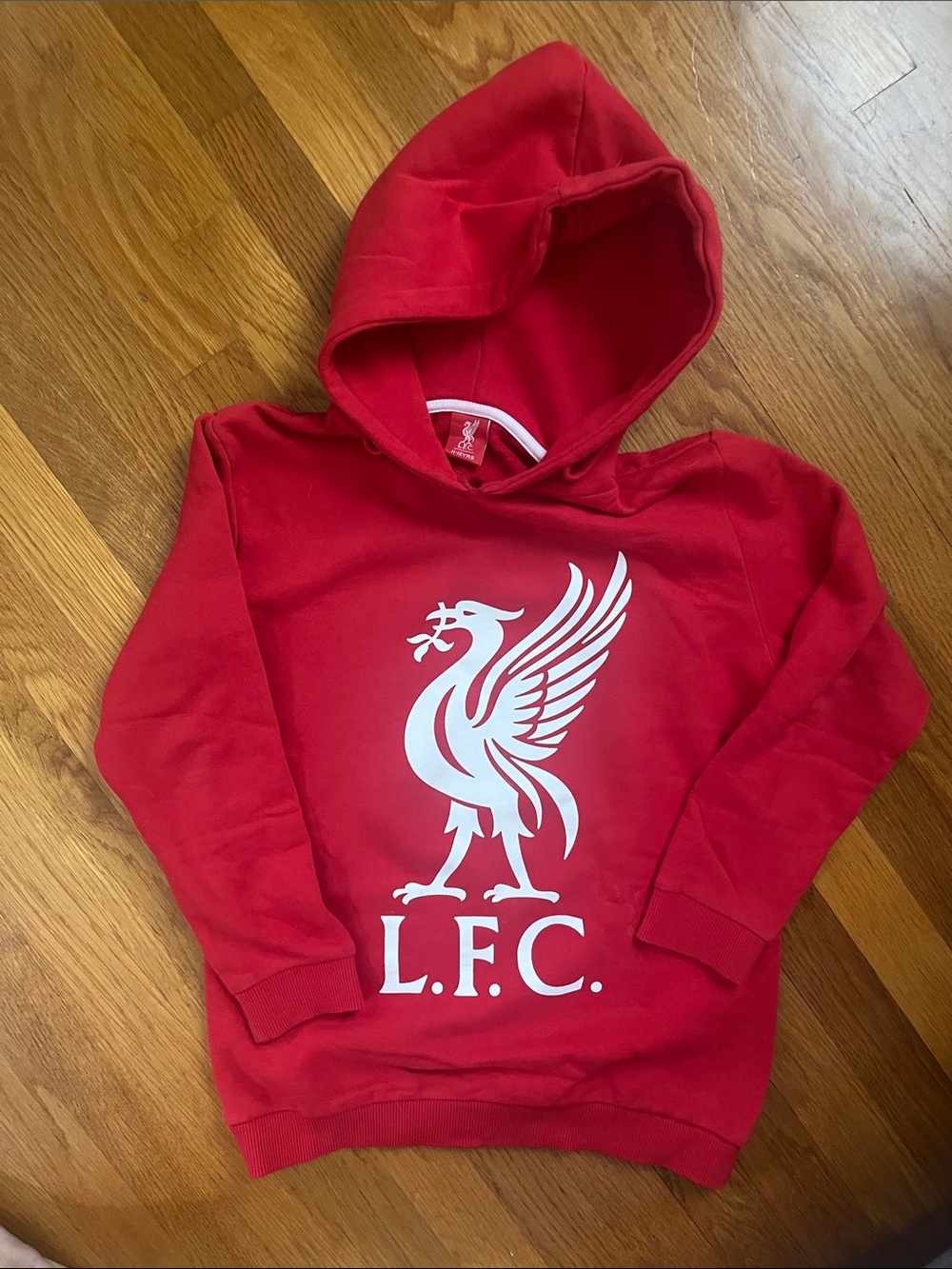Liverpool Football Club Hoodie